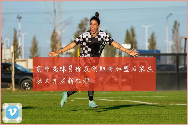 前申花球员徐友刚即将加盟石家庄功夫开启新征程