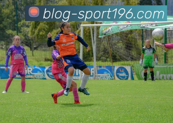 196体育平台生态图